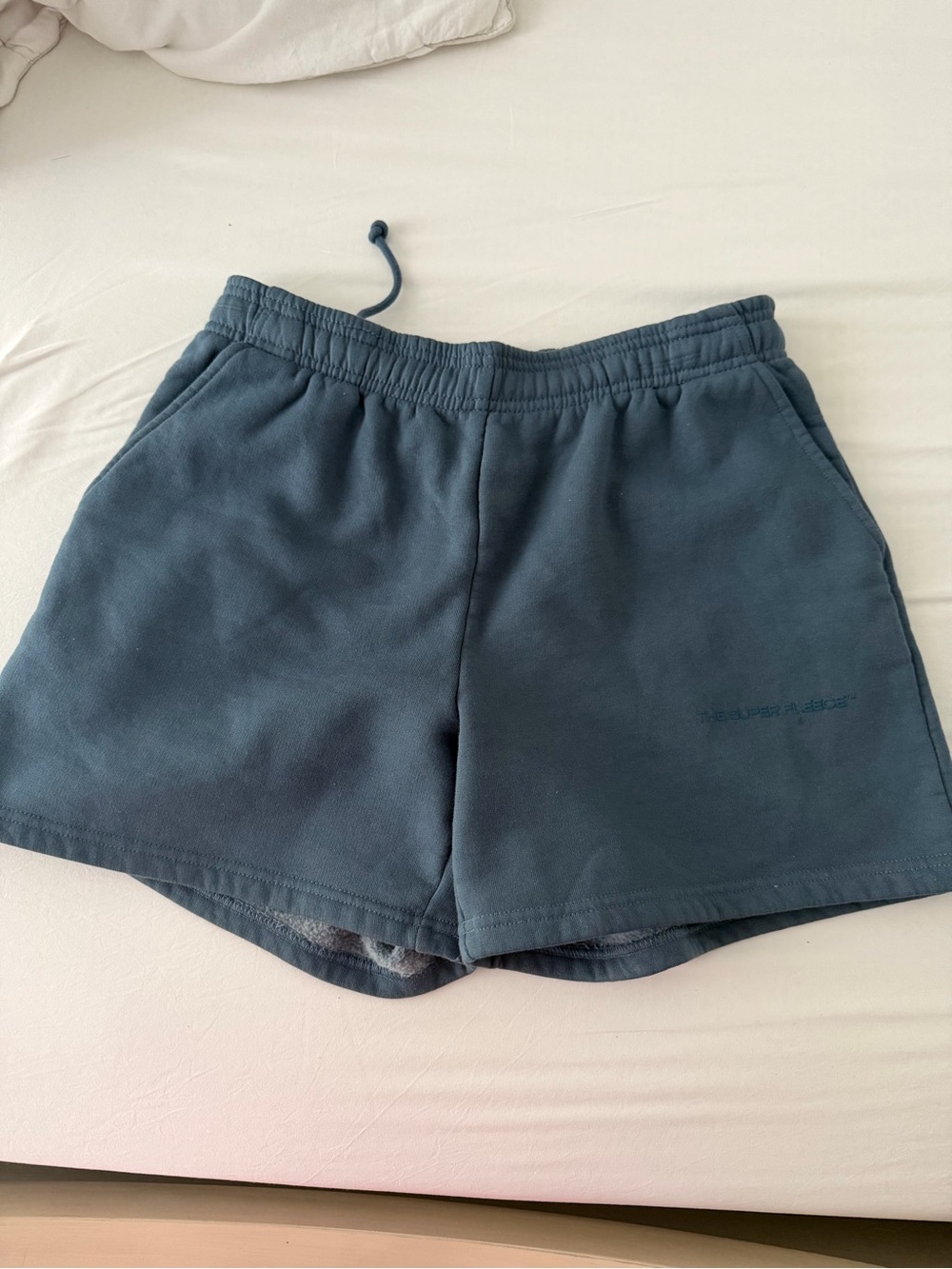 Aritzia shorts
